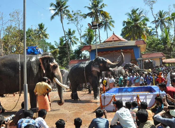 Anayoottu & Homam photo 2