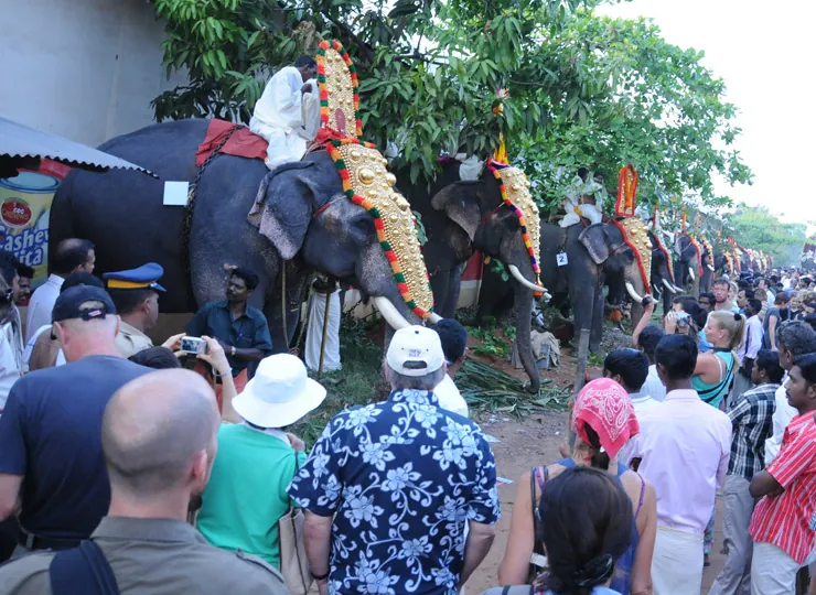 Foreign Devotees & Visitors photo 13