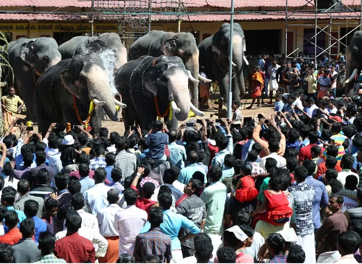 Thazhuthala Gajolsavam photo 17