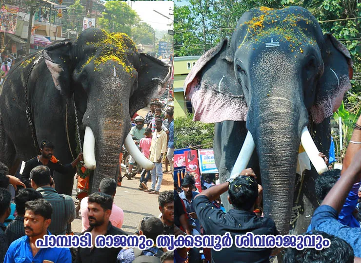 Utsavam 2018 Celebrations photo 10